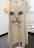 Cute Cat
