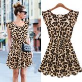 Leopardo